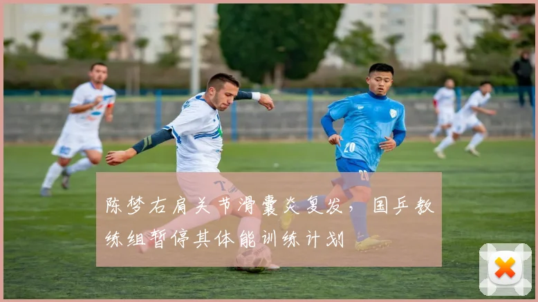陈梦右肩关节滑囊炎复发,国乒教练组暂停其体能训练计划
